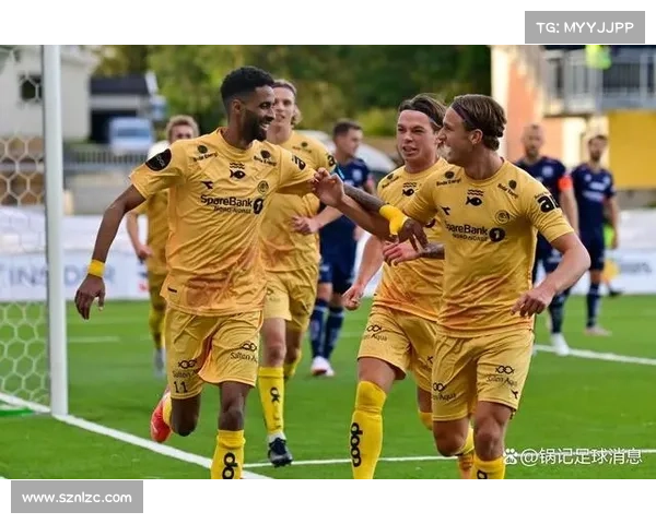 围绕五大联赛五大特色全面解读现代足球竞技格局演变新趋势发展脉络